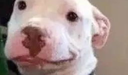 微信娱乐圈吃瓜公众号,明星背后的那些事儿