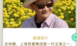 久久青草视频,一场别开生面的视频之旅